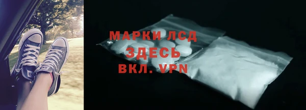 сатива Аркадак