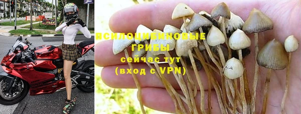 меф Арсеньев