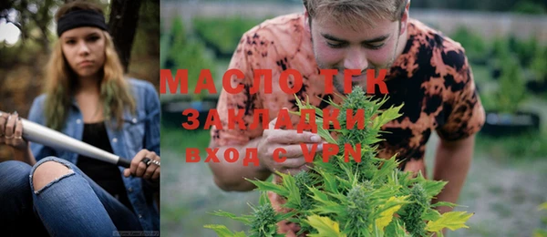 индика Армянск
