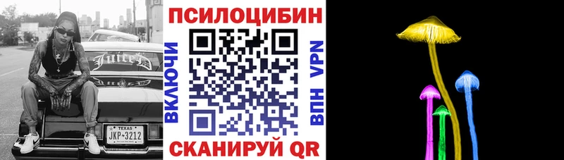 Галлюциногенные грибы Psilocybe  даркнет сайт  Балахна 